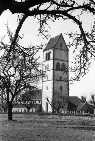 Hochsal: Alte Hotzenkirche, Vordergrund kahle Bäume
