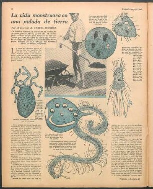 La vida monstruosa en una palada de tierra