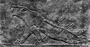 Sterbende Löwin, Relief aus dem Königspalast Assurbanipals II. in Ninive