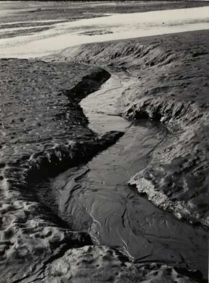 Wassergraben im Watt
