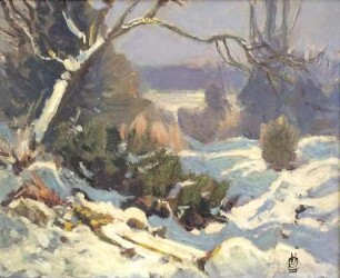 unbenannt [Winter im Garten]