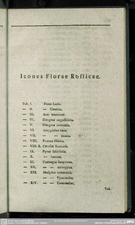 Icones Florae Rossicae