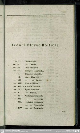 Icones Florae Rossicae