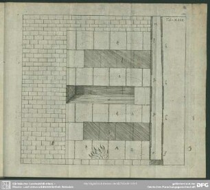 Tab. XIII.