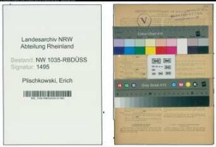 Entnazifizierung Erich Plischkowski , geb. 02.01.1904 (Schlosser)