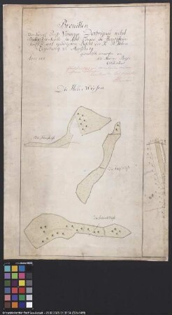 Brouillon des Vorwerkes Döbrichau und der Beckewitzer Mark, Amt Torgau