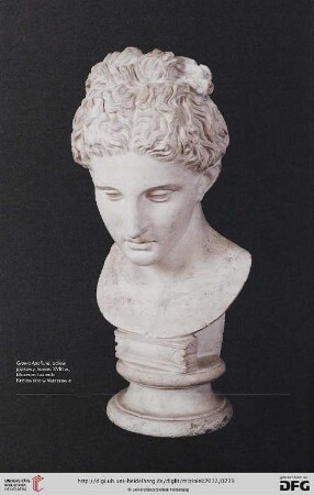 Phidias, Michelangelo and others: the royal and university collection of plaster casts in Warsaw