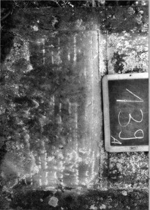 Grabstein 139 (Index: 100090434) Material: Sandstein Zustand: verwittert mit fast völligem Textverlust Maße HxBxT: 130x69x10 cm Beschreibung: Stele, Konvexbogenabschluß: Grabstein 139A