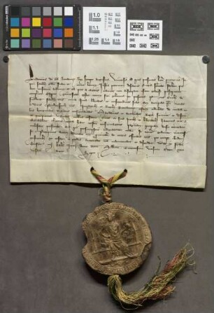 Friedberg: Kaiser Ludwigs IV. Confession aller Privilegien