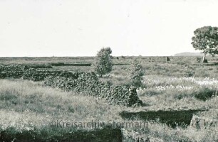 Nienwohlder Moor: Torfgruben im Moor
