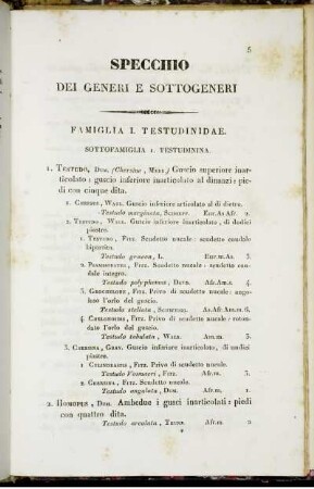Specchio Dei Generi E Sottogeneri