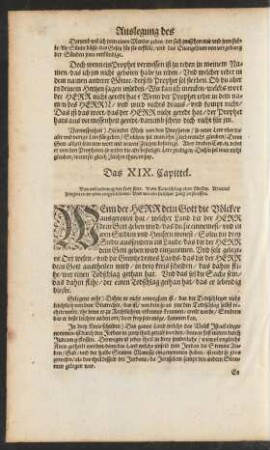 Das XIX. Capittel.