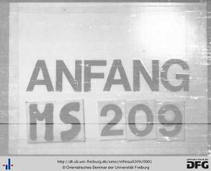 MF Mau 209