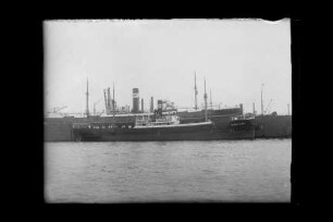 Hanna Cords (1926), Cords.- Dampfs Gesellschaft Aug. Cords mbH, Rostock