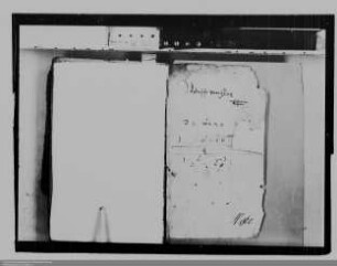 Graf Philipp Ludwig von Wied-Runkel ./. Grafen Johann Wilhelm und Hermann von Wied-Runkel: Geldforderungen