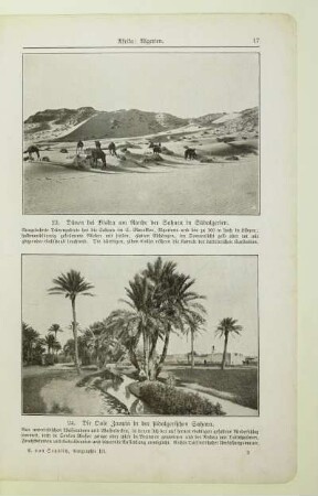 24. Die Oase Zaouia in der südalgerischen Sahara