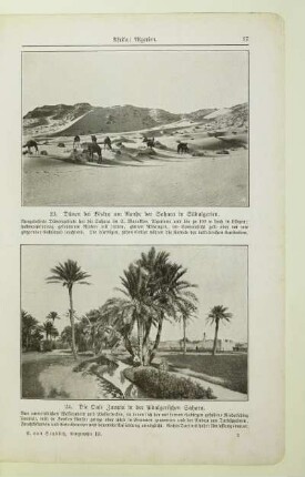 24. Die Oase Zaouia in der südalgerischen Sahara