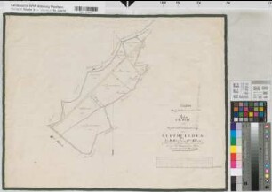 Havixbeck (Havixbeck), Teilung des Flothfeldes, Reinkarte Bl.4