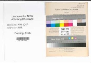 Entnazifizierung Erich Duesing , geb. 04.09.1909 (Kaufmann)