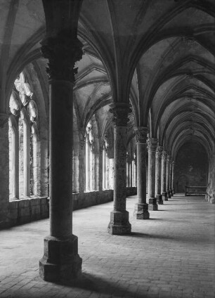 Kloster Walkenried. Doppelschiffiger nördlicher Kreuzgangflügel. Lesegang