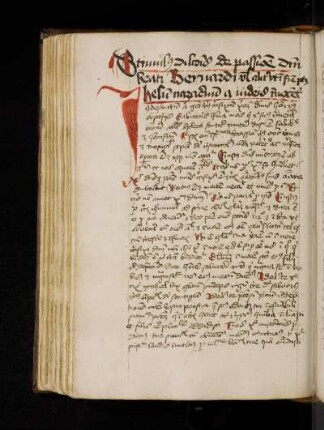 Ecbertus Schonaugiensis: Stimulus amoris dilectionis seu speculum animae in passione.