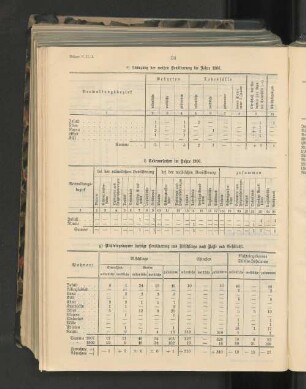 g) Nichteingeborene farbige Bevölkerung und Mischlinge nach Rasse und Geschlecht.