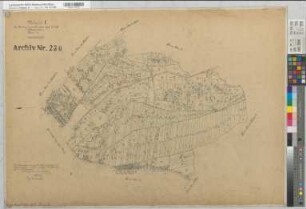 Epe (Gronau), Umlegung Epe, Urkarte 1 Flur 11