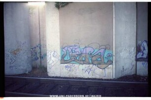 Roa