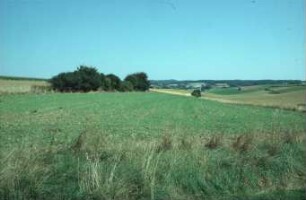 Fotografie: Landbewirtschaftung, Flurbereinigung