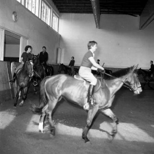 Reithalle. Reiter beim Reittraining