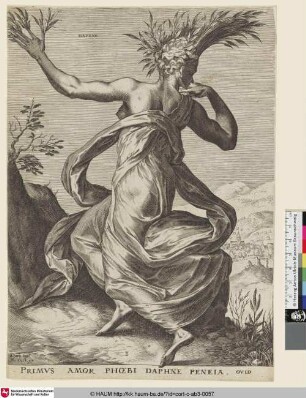 Daphne