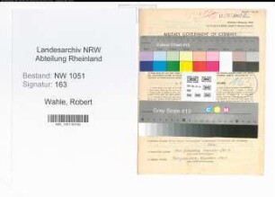 Entnazifizierung Robert Wahle , geb. 21.10.1900 (Architekt)
