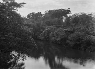 Zusammenfluss : An dieser Stelle fließen der Rio Miranda und der Rio Santo Antonio zusammen.