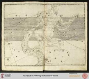 Tafel 32: Aquarius (Wassermann)