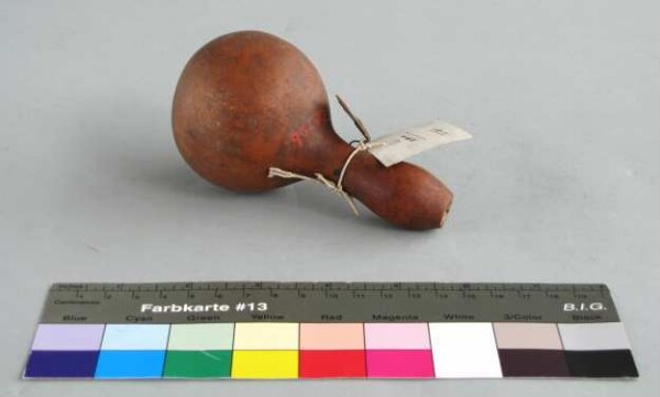 Rattle made from pumpkin skin