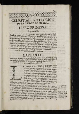 Celestial Proteccion De La Ciudad De Mexico. Libro Primero. Argumento.