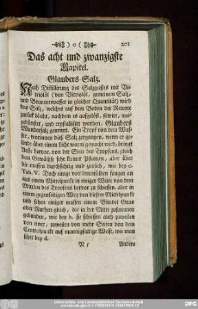 Das acht und zwanzigste Kapitel. Glaubers Salz.