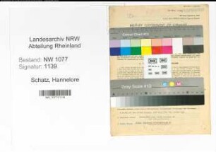 Entnazifizierung Hannelore Schatz , geb. 20.10.1919 (Dolmetscherin)