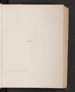 Plate XI.