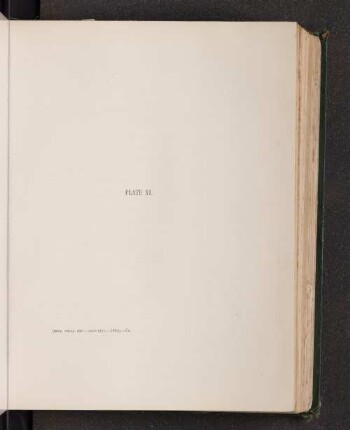 Plate XI.