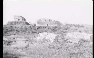 Uxmal, Tortugas (UXM: TORT)