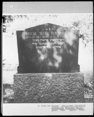 Grabstein von Therese Meyer (gestorben 1929.05.21)
