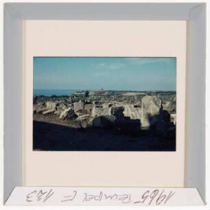 Selinunt: Am Tempel E (Foto 1965)
