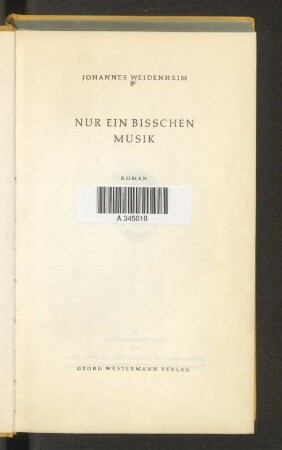 Nur ein bisschen Musik : Roman