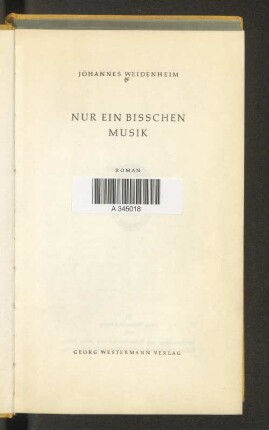Nur ein bisschen Musik : Roman