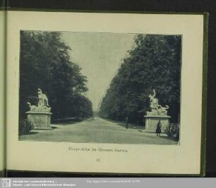 Haupt-Allee im Grossen Garten