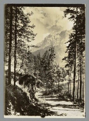 An den Ufern des Eibsees unter der Zugspitze