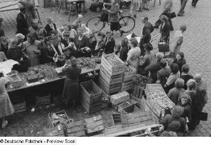 Blick auf einen Marktstand mit Obst und Gemüse