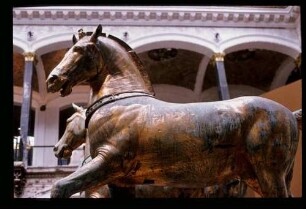 Pferde v. San Marco 12.4.82.
