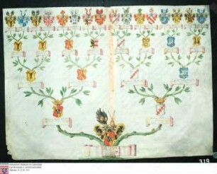 Ahnenprobe des Johann Georg Hermann Riedesel z. Eisenbach u. Altenburg. - ausgefertigt 1701 Januar 29, 1706 März 18, Pergament